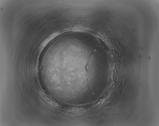 X0000083040292200702161713