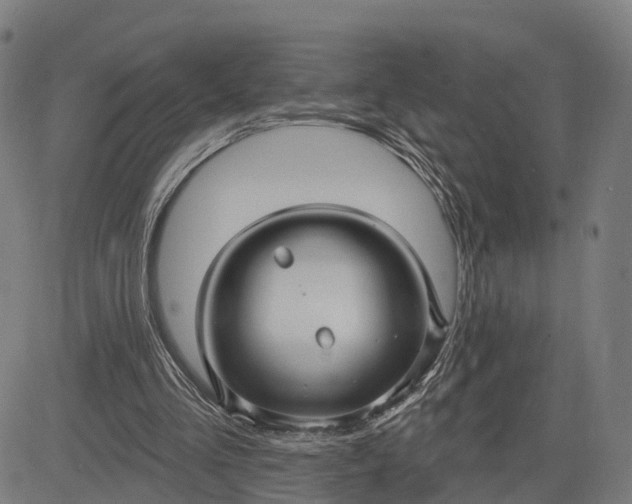 X0000083040293200702161713