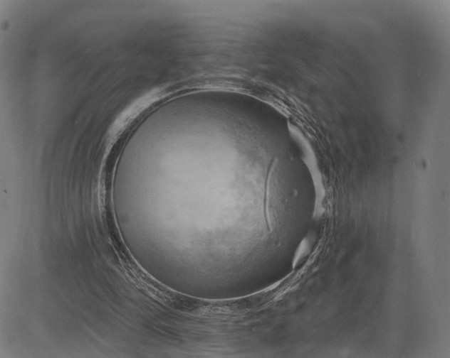 X0000083040294200702161713