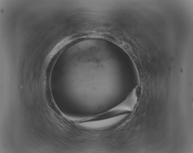 X0000083040295200702161713