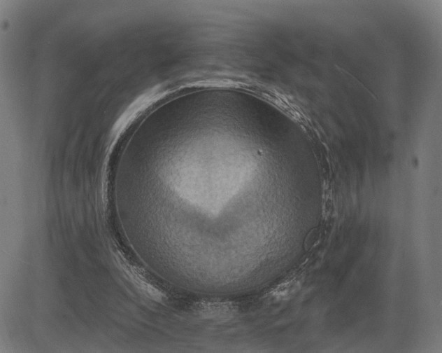 X0000083040296200702161713