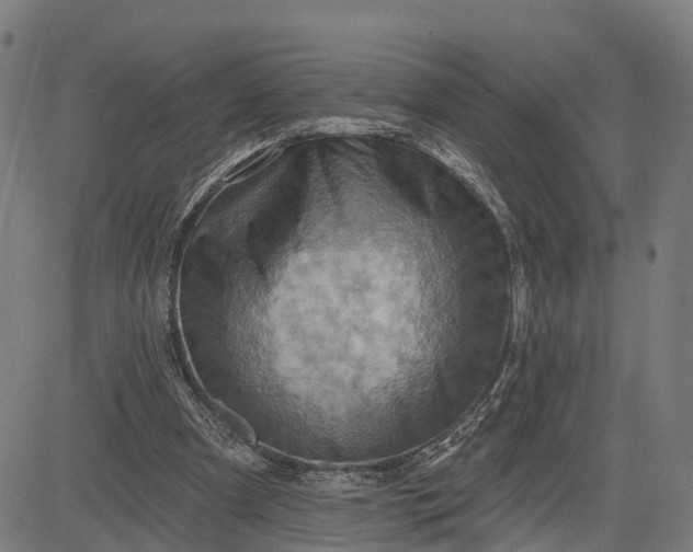 X0000083040297200702161713