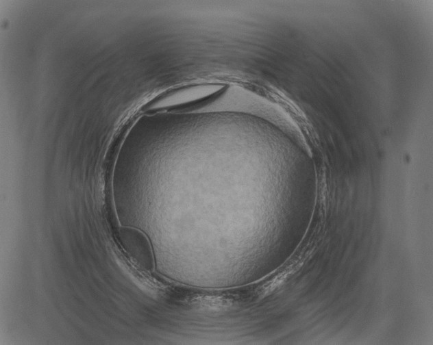 X0000083040298200702161713