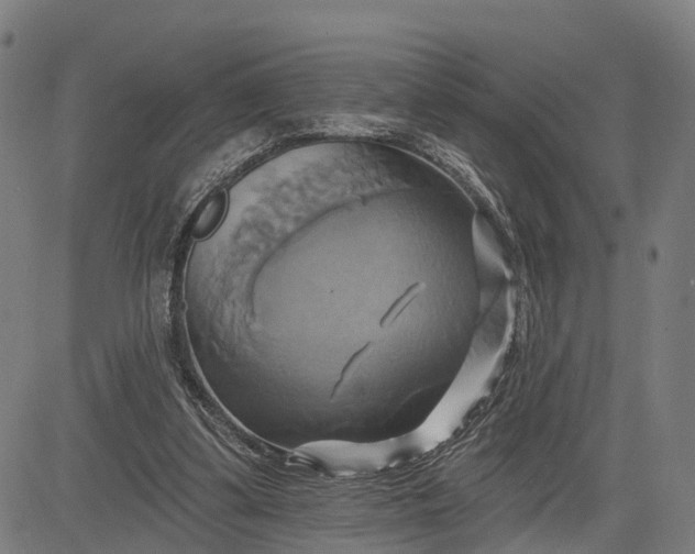 X0000083040299200702161713