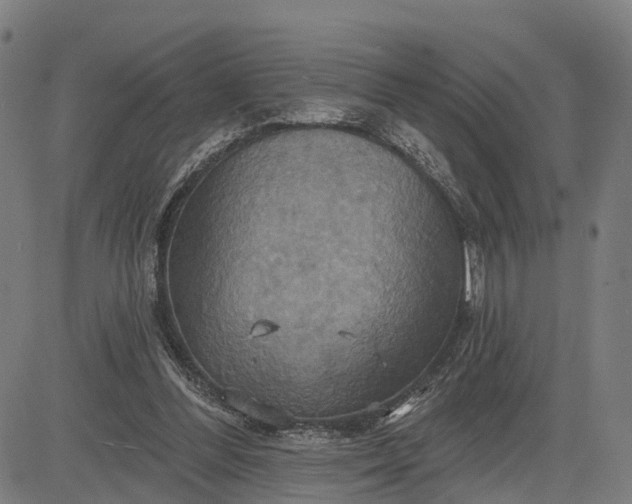 X0000083040300200702161713