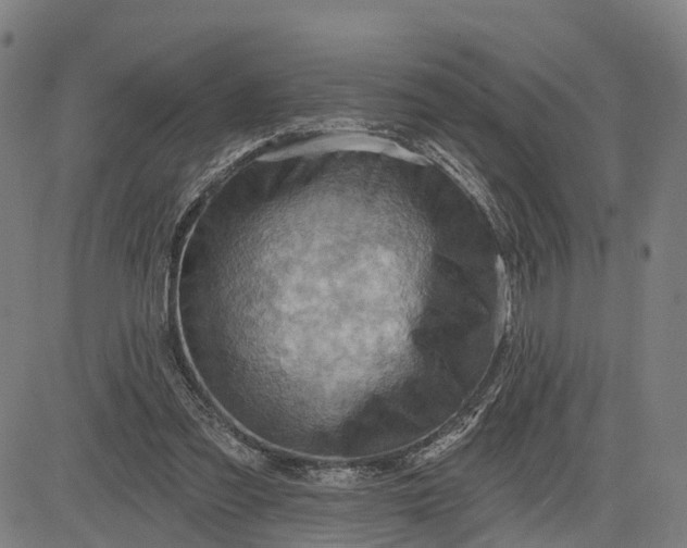 X0000083040301200702161713