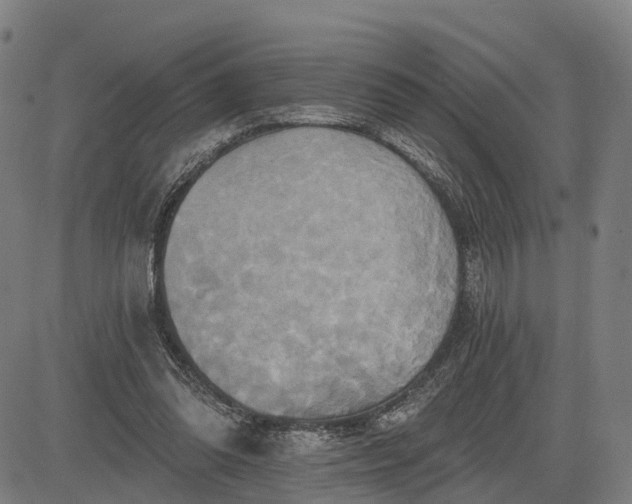 X0000083040302200702161713