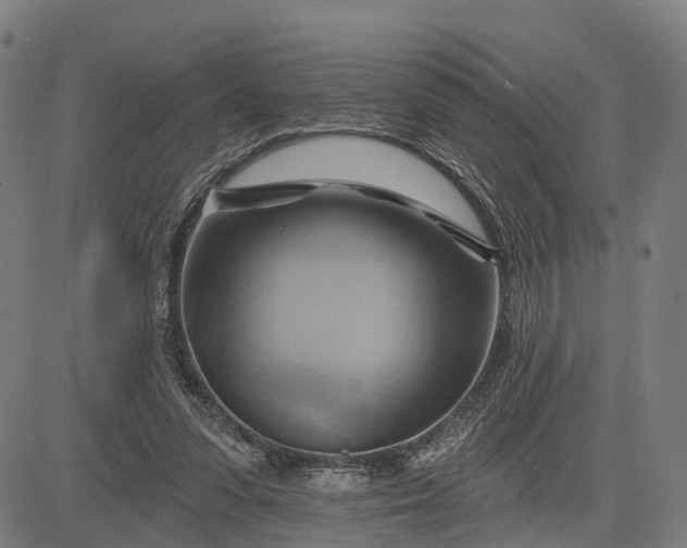 X0000083040303200702161713