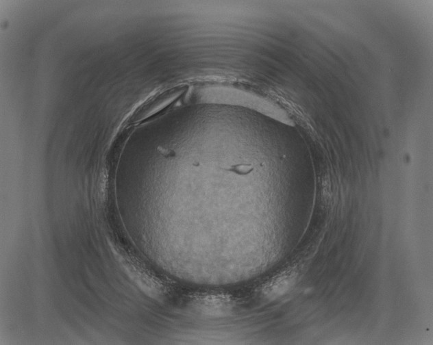 X0000083040304200702161713