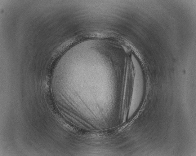 X0000083040305200702161713