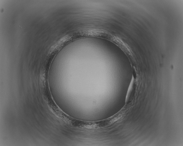 X0000083040306200702161713