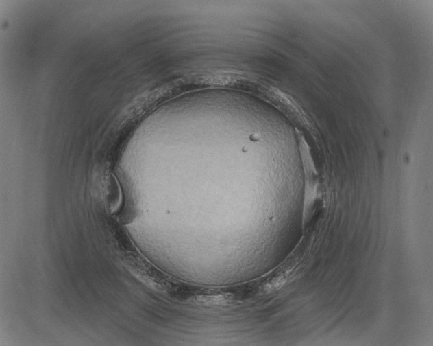 X0000083040307200702161713