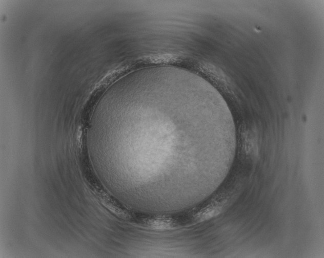 X0000083040308200702161713