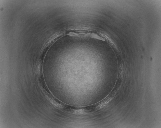 X0000083040309200702161713