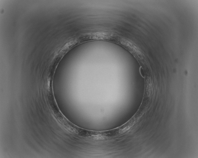 X0000083040310200702161713