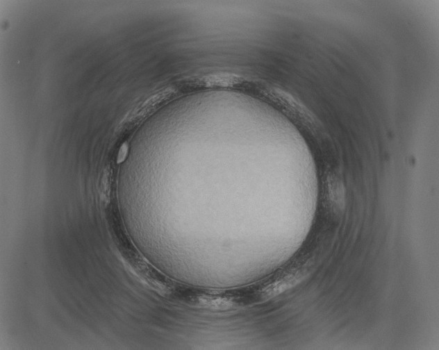 X0000083040311200702161713