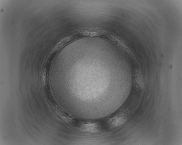 X0000083040312200702161713