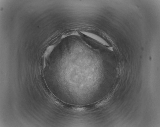 X0000083040313200702161713