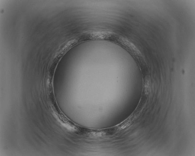 X0000083040314200702161713