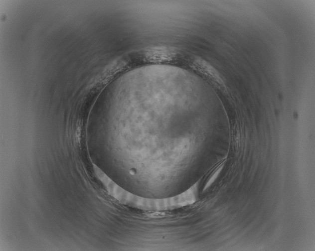 X0000083040315200702161713