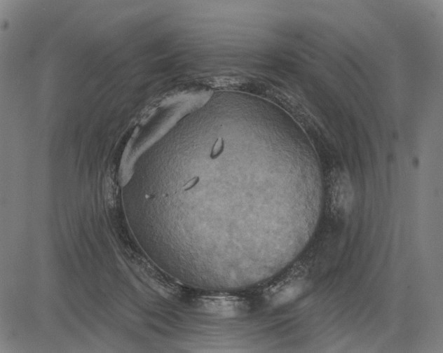 X0000083040316200702161713