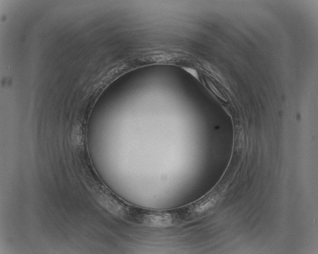 X0000083040317200702161713