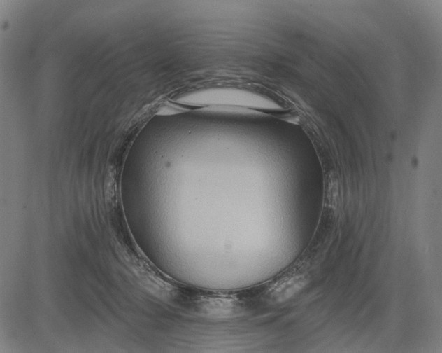 X0000083040318200702161713