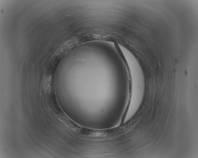 X0000083040319200702161713