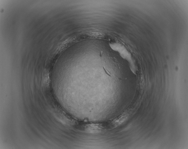 X0000083040320200702161713