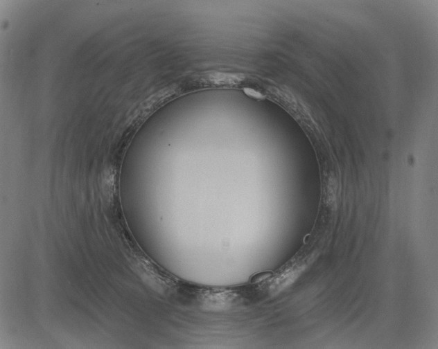 X0000083040321200702161713