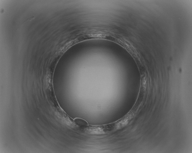 X0000083040322200702161713