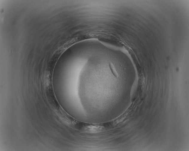 X0000083040323200702161713