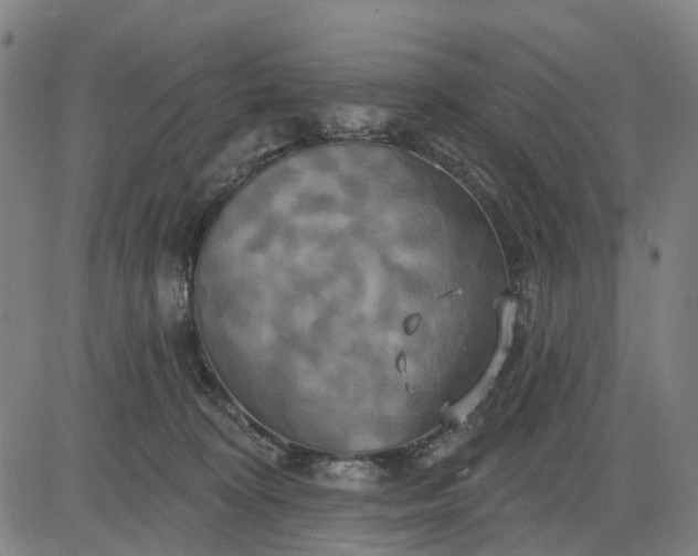 X0000083040324200702161713