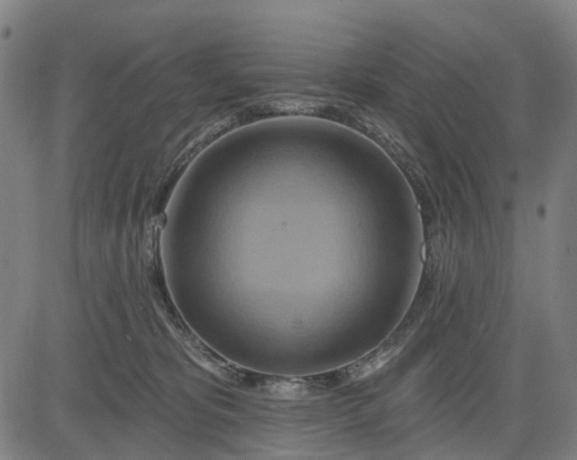 X0000083040325200702161713