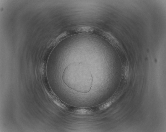 X0000083040326200702161713