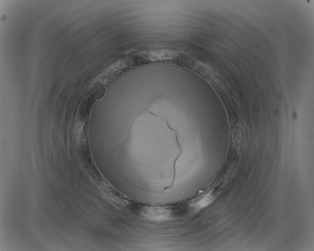 X0000083040327200702161713