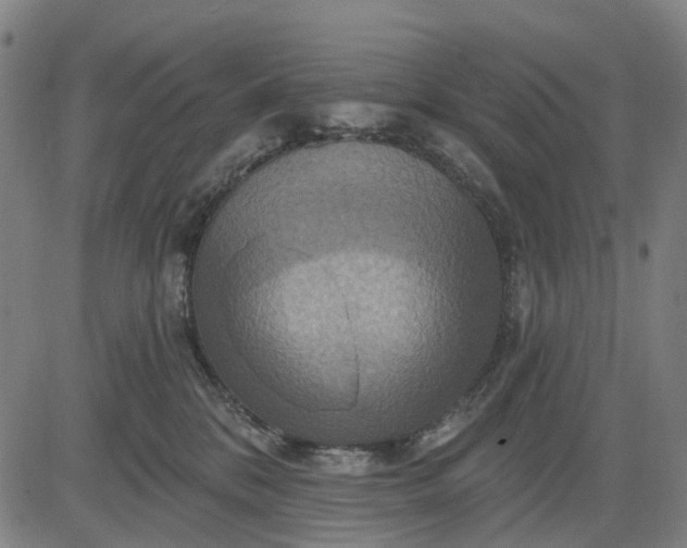 X0000083040328200702161713