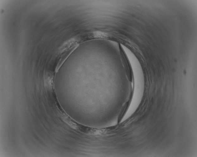 X0000083040329200702161713