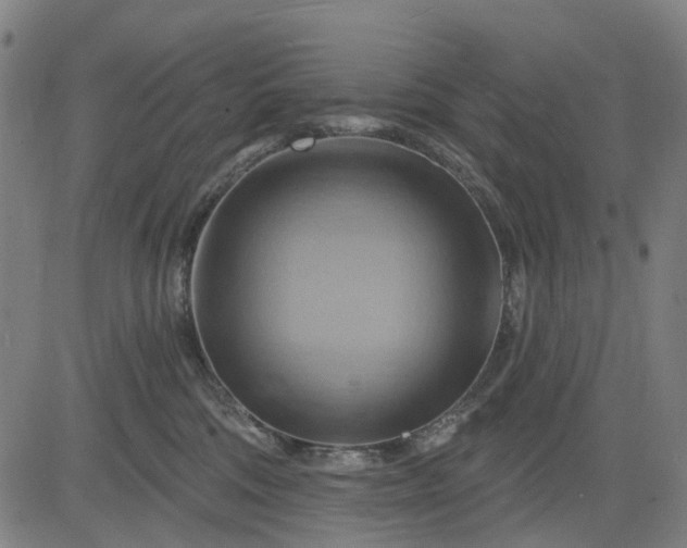 X0000083040330200702161713