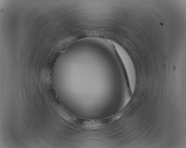 X0000083040331200702161713