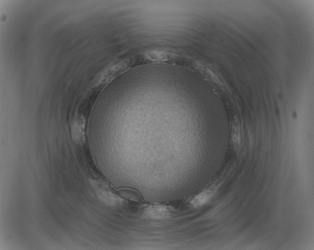 X0000083040332200702161713