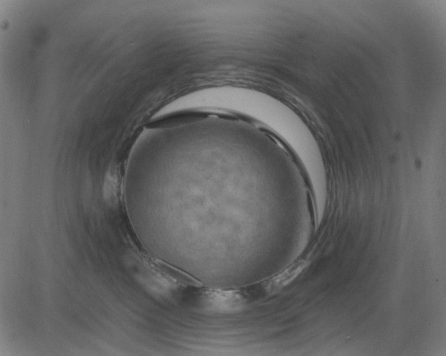 X0000083040333200702161713