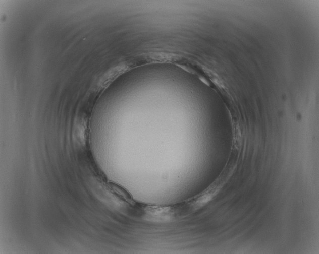 X0000083040334200702161713