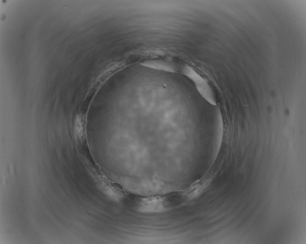 X0000083040335200702161713