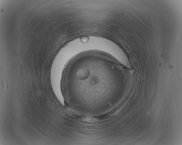 X0000083040336200702161712