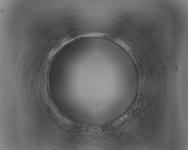 X0000083040337200702161712