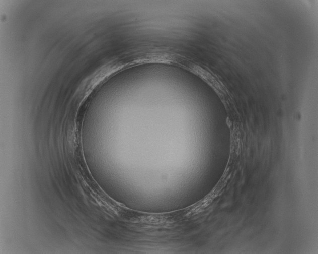 X0000083040338200702161712