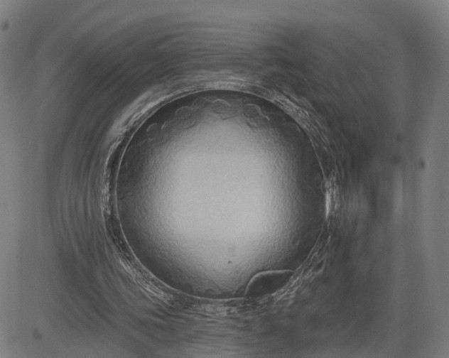 X0000083040339200702161712