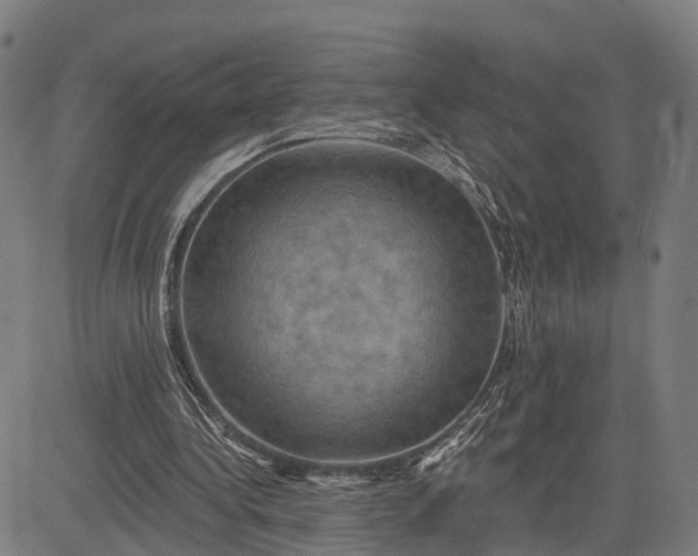 X0000083040340200702161712