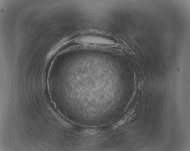 X0000083040341200702161712